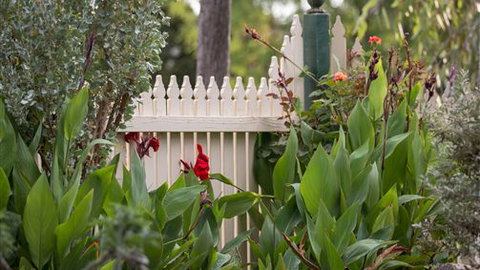 Muscat House - Tourism Noosa 6