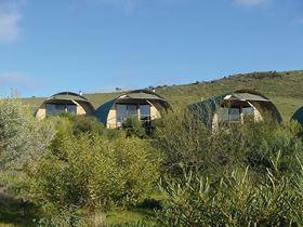 Saunders Gorge Sanctuary - Nature Lodges - Tourism Noosa 0
