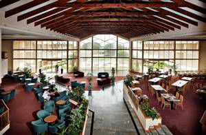 Abbey Beach Resort - Tourism Noosa 1