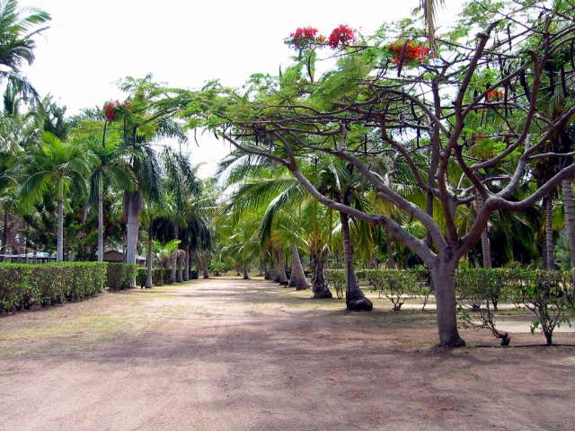 Alva QLD Tourism Noosa