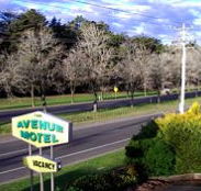 Avenue Motel - Tourism Noosa