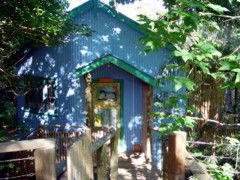 Blue Poles Cafe, Gallery & B&B - Tourism Noosa 0