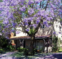 Callam Court - Tourism Noosa