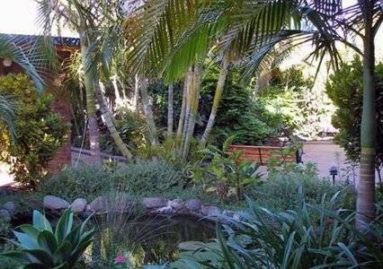 Comfort Inn Bert Hinkler - Tourism Noosa 3