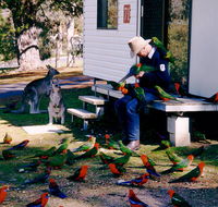 Inland Waters Holiday Parks Burrinjuck - Tourism Noosa