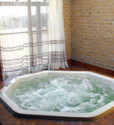 Lookout Motor Inn - Tourism Noosa 4