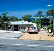Paradise Palms Carey Bay - Tourism Noosa