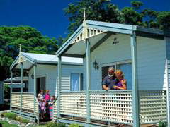 Paradise Palms Carey Bay - Tourism Noosa 1