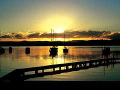 Paradise Palms Carey Bay - Tourism Noosa 4