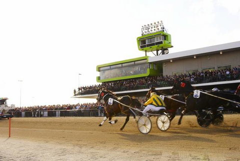 Quality Hotel Tabcorp Park - Tourism Noosa 2