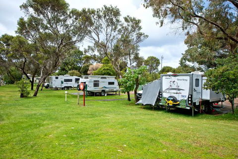 Acclaim Pine Grove Holiday Park - Tourism Noosa 11