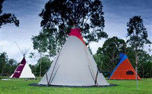 Aranyani Bison Adventure Tourist Park - Tourism Noosa 1