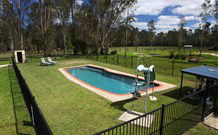 Aranyani Bison Adventure Tourist Park - Tourism Noosa 4