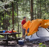 Bald Rock campground and picnic area - Tourism Noosa