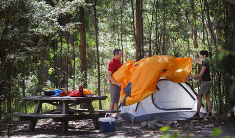Bald Rock Campground And Picnic Area - Tourism Noosa 0