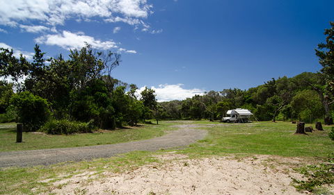 Banksia Green Campground - Tourism Noosa 0