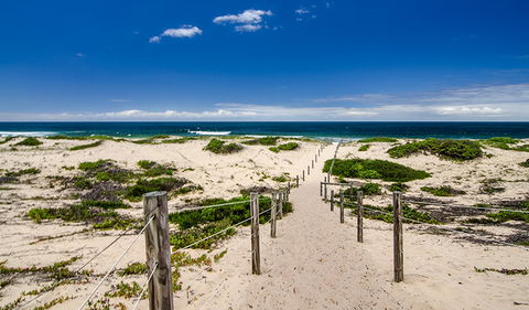 Banksia Green Campground - Tourism Noosa 1