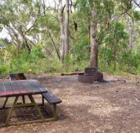 Bark Hut picnic area and campground - Tourism Noosa