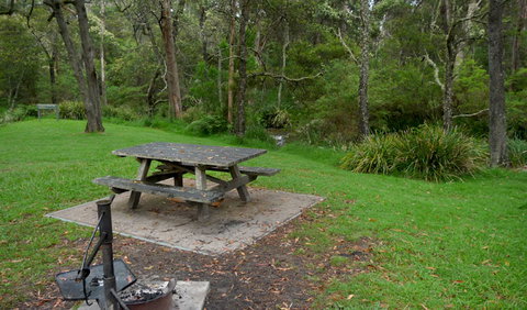 Chaelundi Campground - Tourism Noosa 0