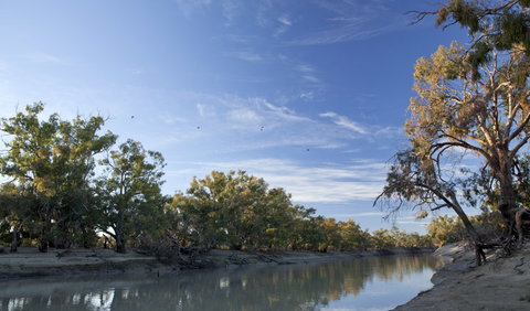 Darling River Campground - Tourism Noosa 0