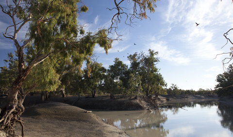 Darling River Campground - Tourism Noosa 1