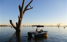 DC On The Lake - Tourism Noosa 7