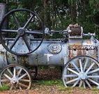 Dingo Tops campground - Tourism Noosa