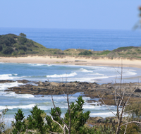 The Bowlo Holiday Cabins - Tourism Noosa
