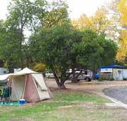 Wedderburn Pioneer Caravan Park - Tourism Noosa