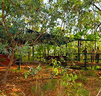Arnhemland Barramundi Nature Lodge - Tourism Noosa