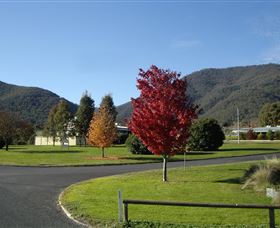 Talbingo Country Club - Tourism Noosa 0