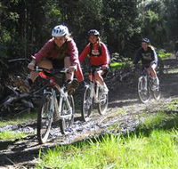 Charnwood - Tourism Noosa