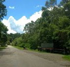 Ferndale Caravan Park - Tourism Noosa