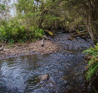 Horse Swamp campground - Tourism Noosa