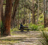 Koreelah Creek campground - Tourism Noosa