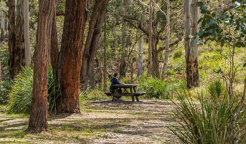 Koreelah Creek Campground - Tourism Noosa 0