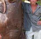 Michael's Clarence Valley Retreat - Tourism Noosa