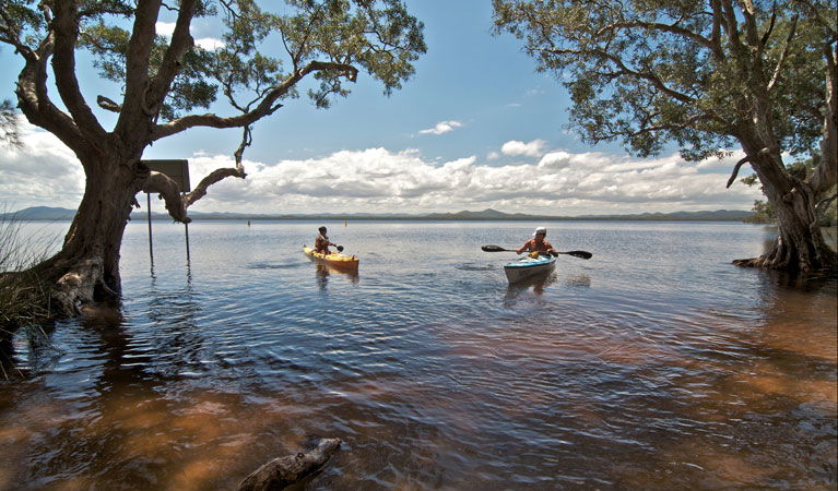 Topi Topi NSW Tourism Noosa