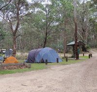 Native Dog campground - Tourism Noosa