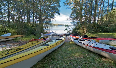 Neranie Campground - Tourism Noosa 1