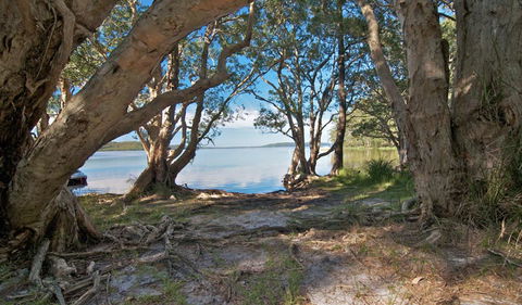 Neranie Campground - Tourism Noosa 0