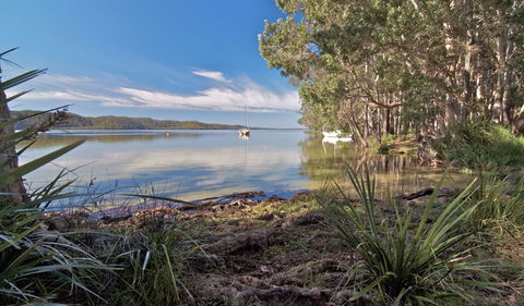 Neranie Campground - Tourism Noosa 2