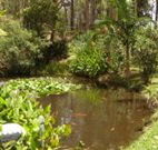 Tallowood Ridge B and B - Tourism Noosa