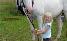 Three Waters High Country Holidays - Tourism Noosa 2