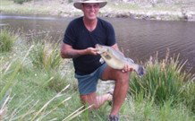 Three Waters High Country Holidays - Tourism Noosa 1