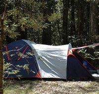 Thungutti campground - Tourism Noosa