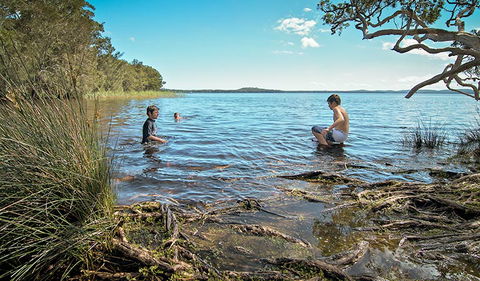 Wells Campground - Tourism Noosa 0