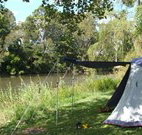 Williams River Holiday Park - Tourism Noosa