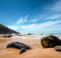 Yagon Campground - Tourism Noosa