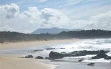Beachview Motel Bermagui - Bermagui - Tourism Noosa 4
